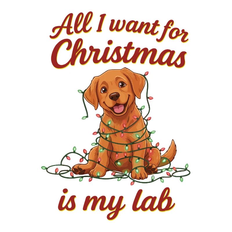 Tout ce que je veux pour Noël, c’est mon labo