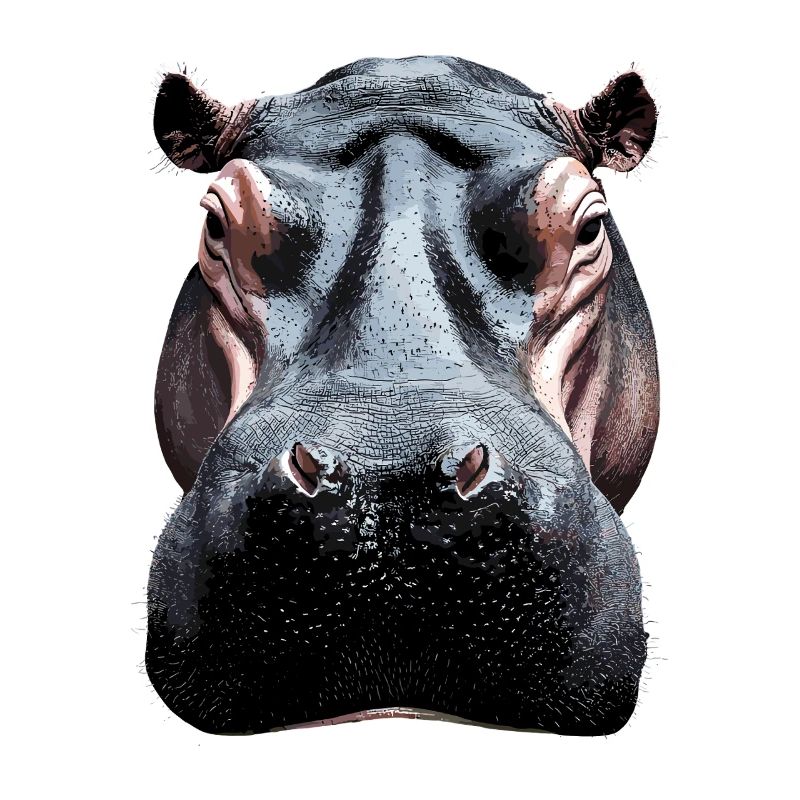 Nilpferd Flusspferd Mama Hippopotamus Cooles Hippo