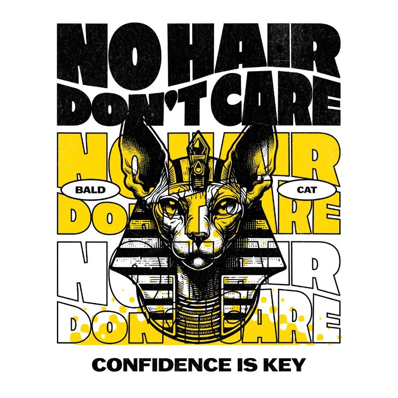 Chat Sphynx Sans Poils