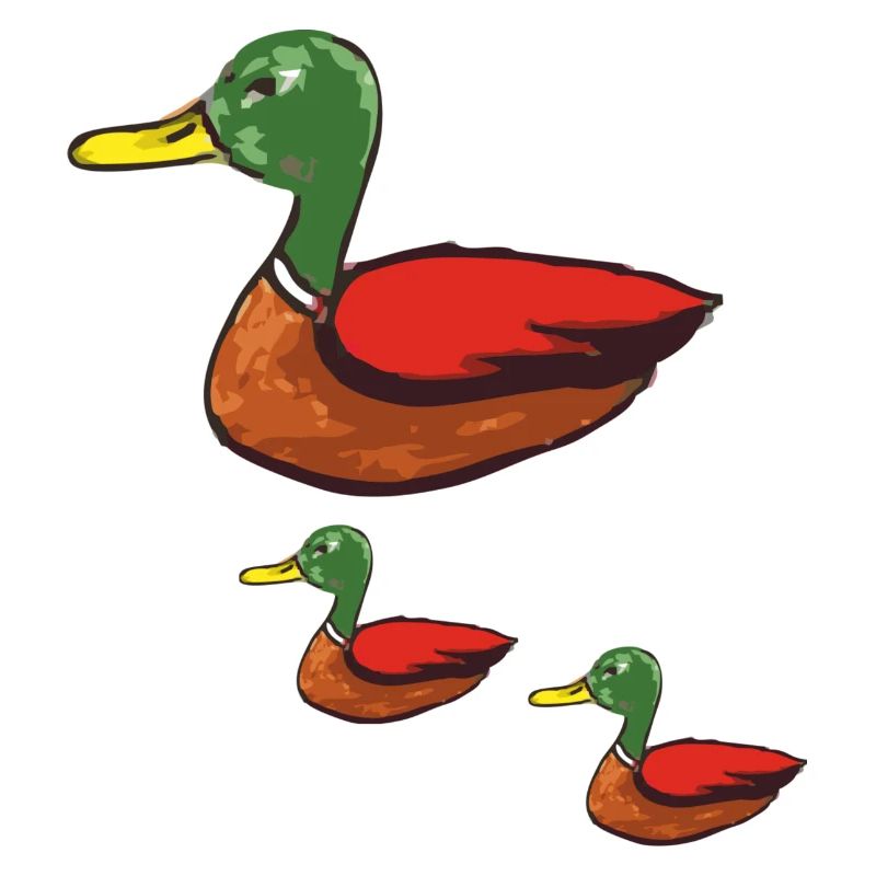 duck mom