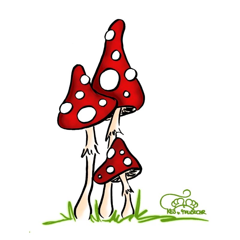 Muchotravky - Champignons