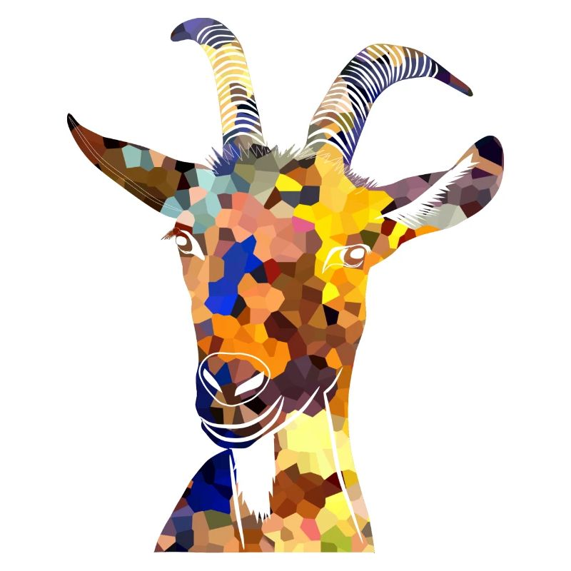 Die bunte Ziege ist da...