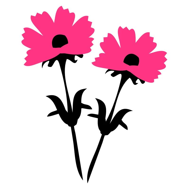 cosmos_flowers