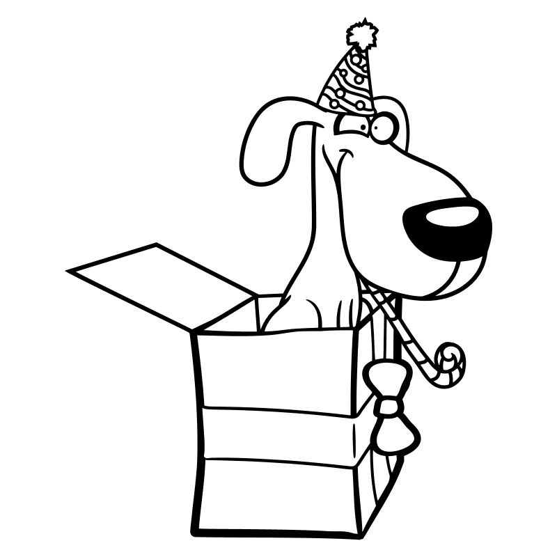 Dog Birthday Gift Party Hat Celebrate Toad