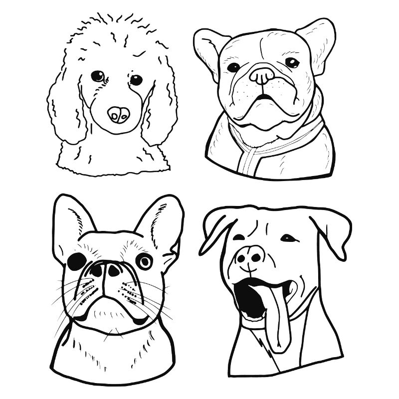 Chiens