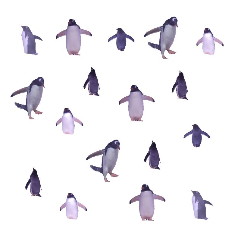 penguins