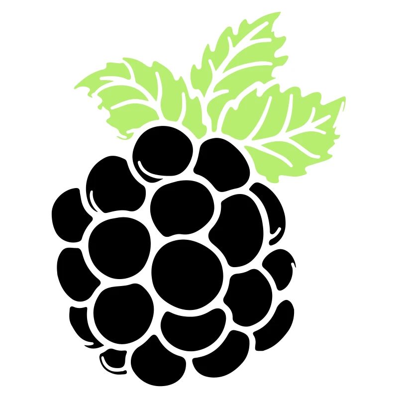 blackberry