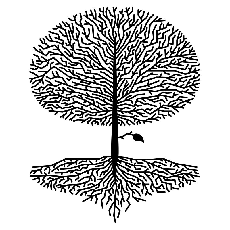 Laubbaum Krone Wald Eiche Buche Natur Linde Äste