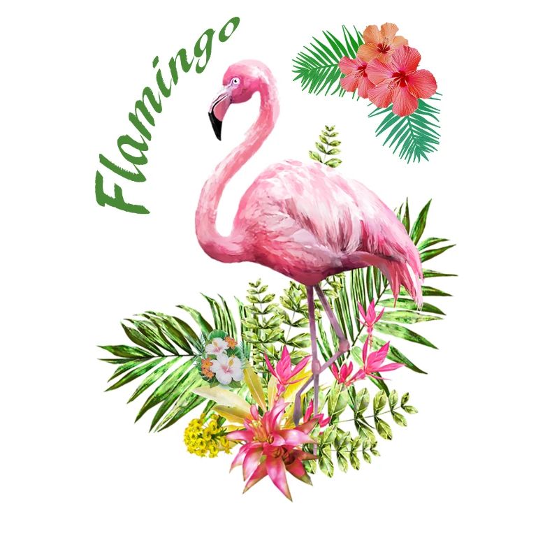 flamant rose
