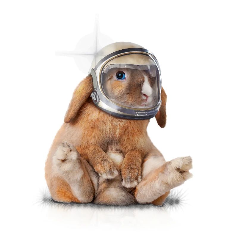 Spacerabbit