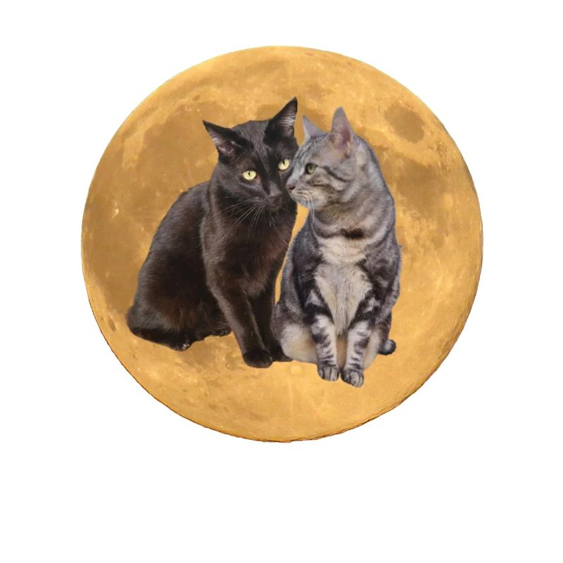 Die Brüder Hintergrund Planet 2