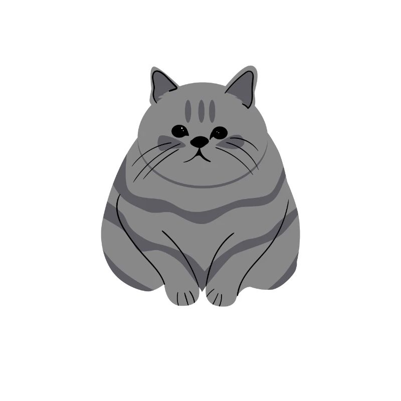 chat gros blanc