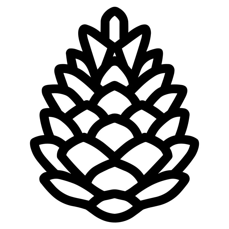 Pine Cone