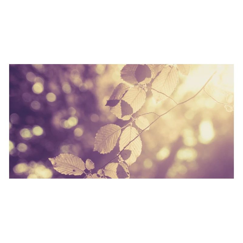 Branch in backlight