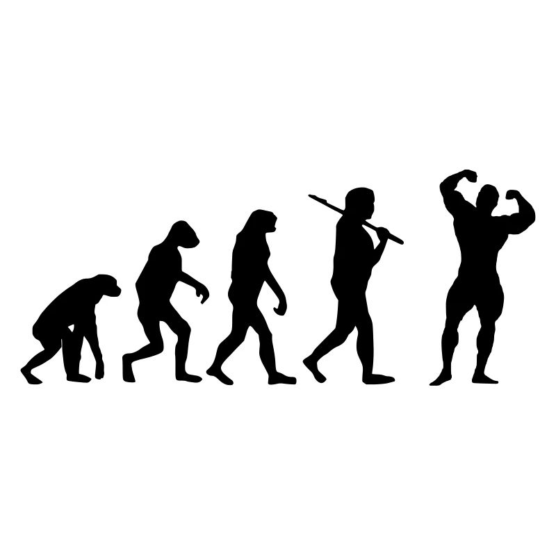 Fitness Evolution