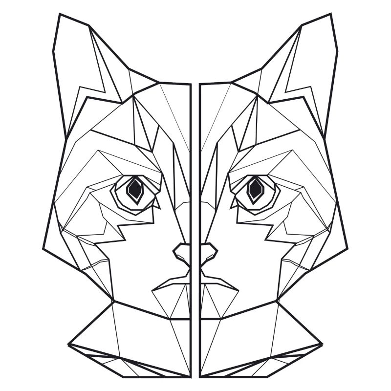 ami de chat, amant de chat, chemise de chat