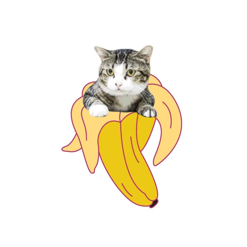 Chat, chat, banane, chaton, miaou, chat, chat, chat, dame