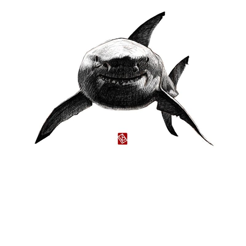 Sketchy Requin