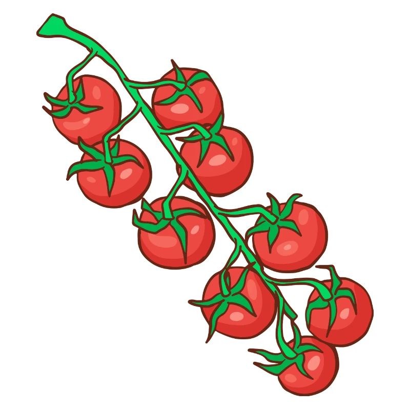 Cocktail tomatoes Party tomatoes Tomatoes Paradeiser