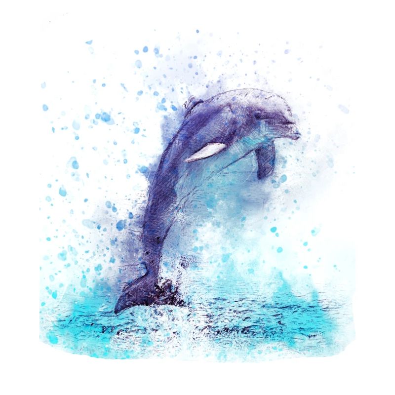 Dolphin