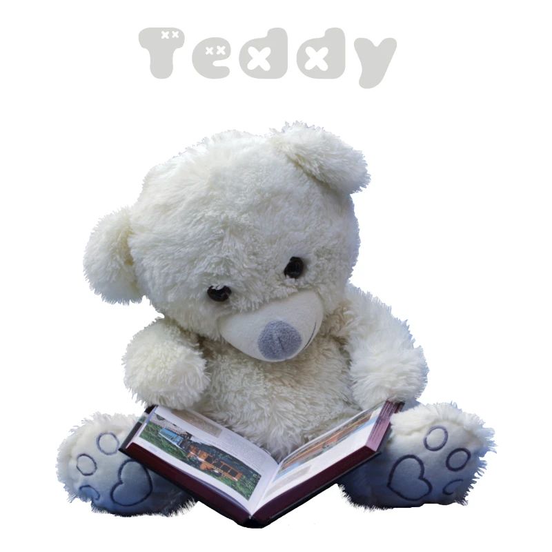 Teddy