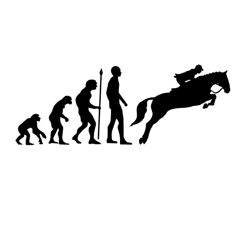 Reiterin Evolution Springreiten Pferde