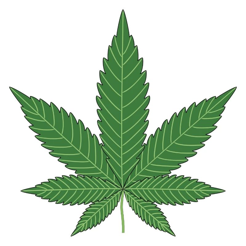 Hanfblatt Geschenk Idee