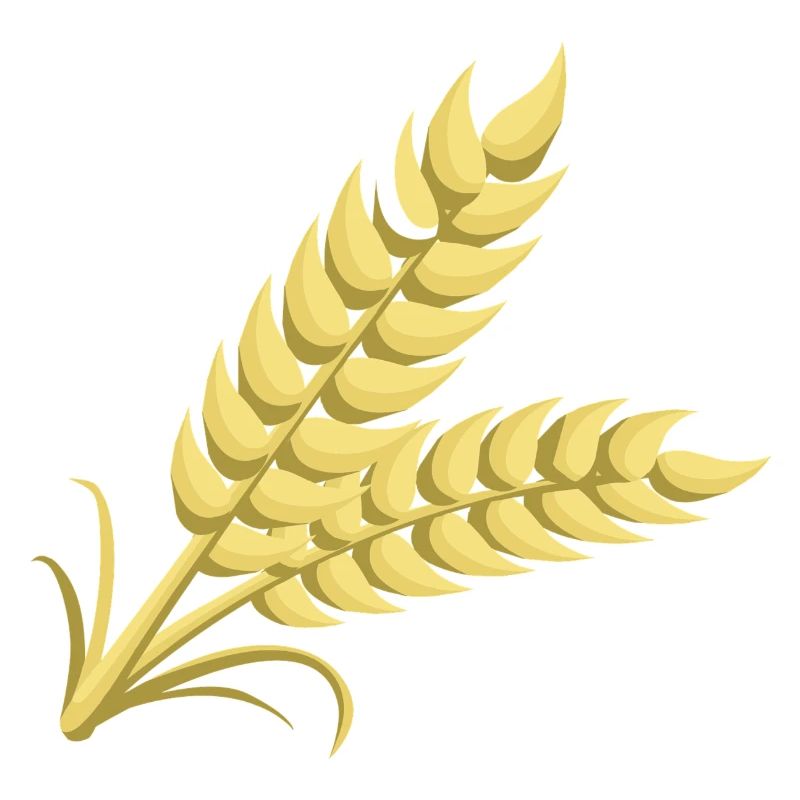 wheat