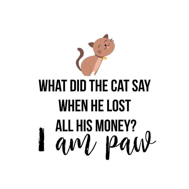 Qu'est-ce que le chat dit