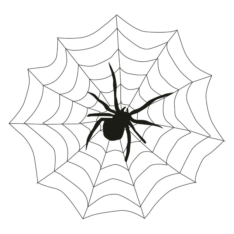 Spider web