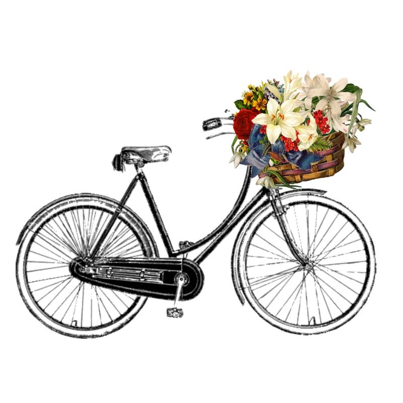 bicycle-bicycle fleure