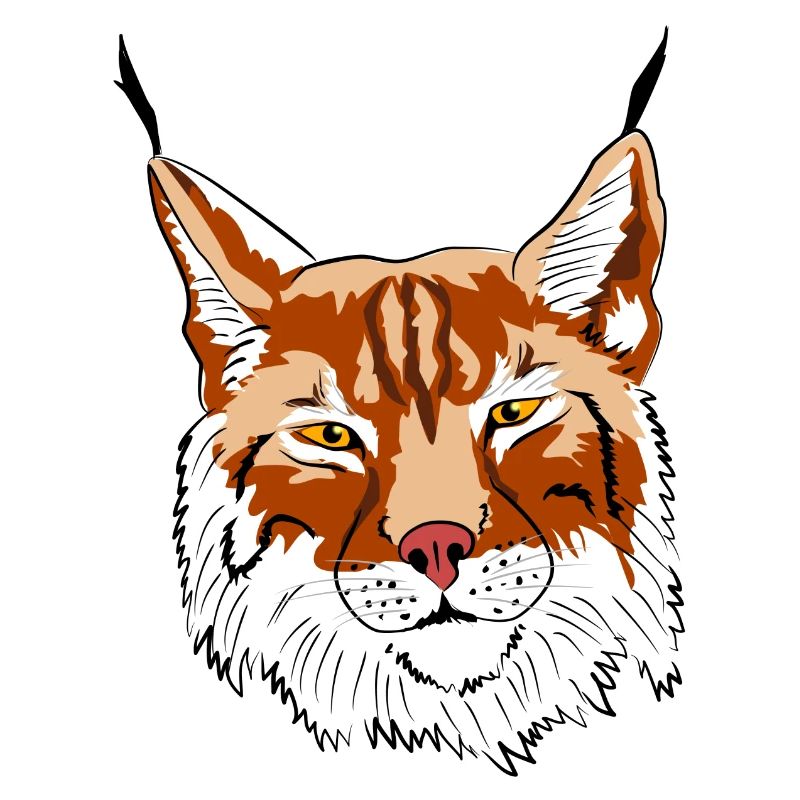 lynx