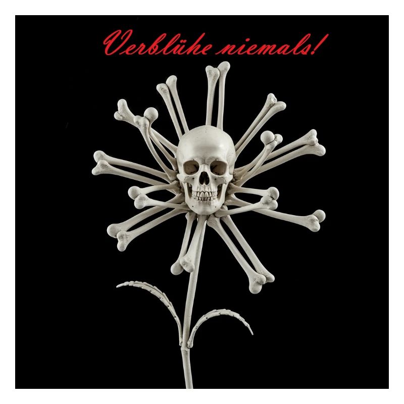 Décor de dentelle avec crâne et os