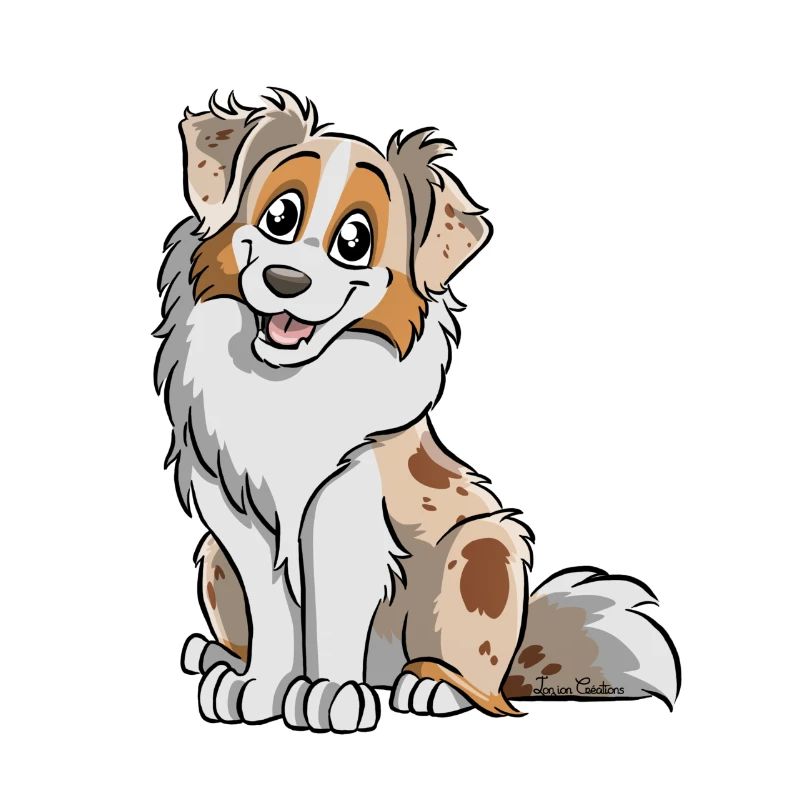 Red Merle Australian Shepherd