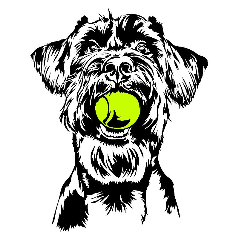 Schnauzer géant Schnauzer chien chien Wilsigns