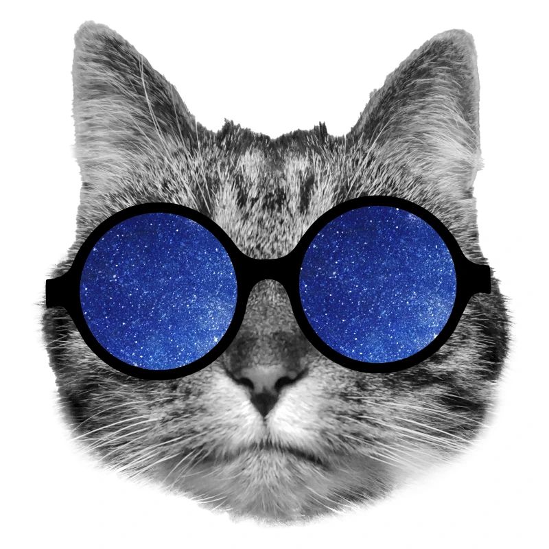 Galaxy cat