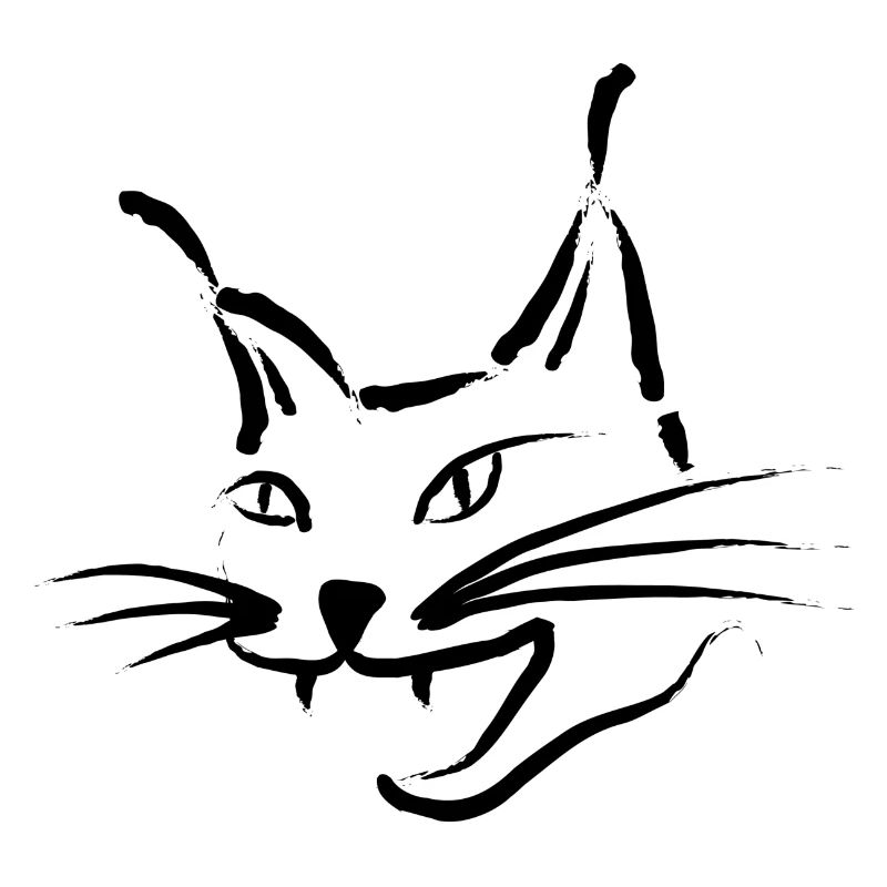 Chat Lynx chat sauvage