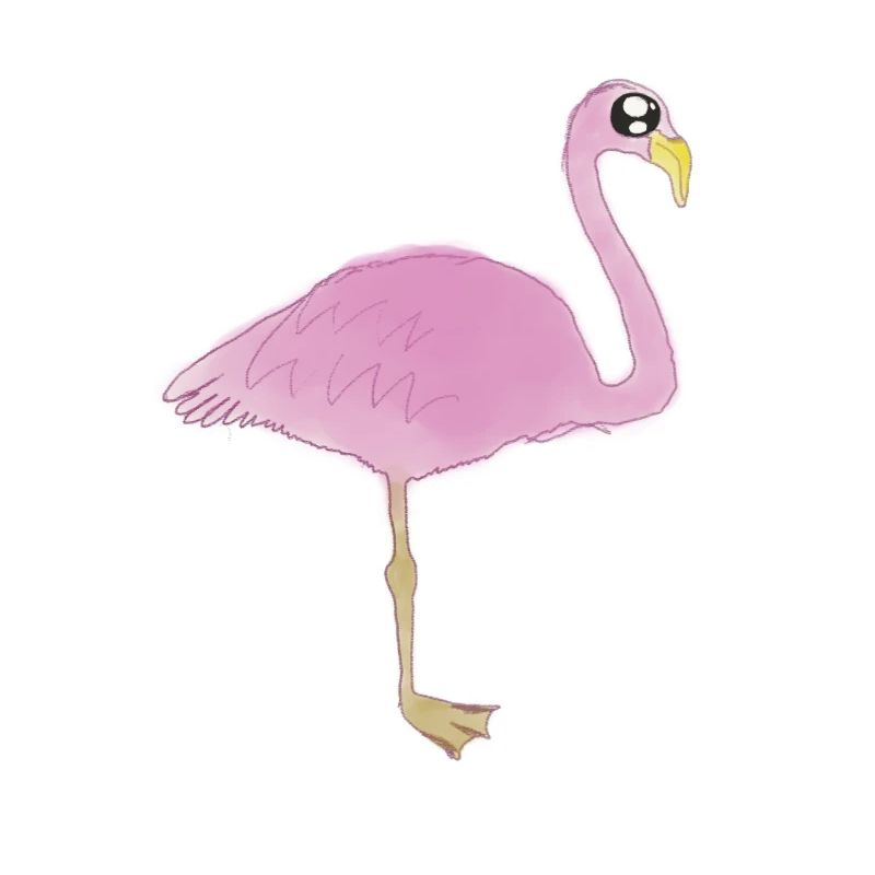 flamingo