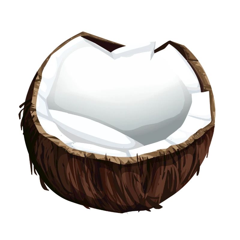 Noix de coco noix de coco fruits de noix de coco