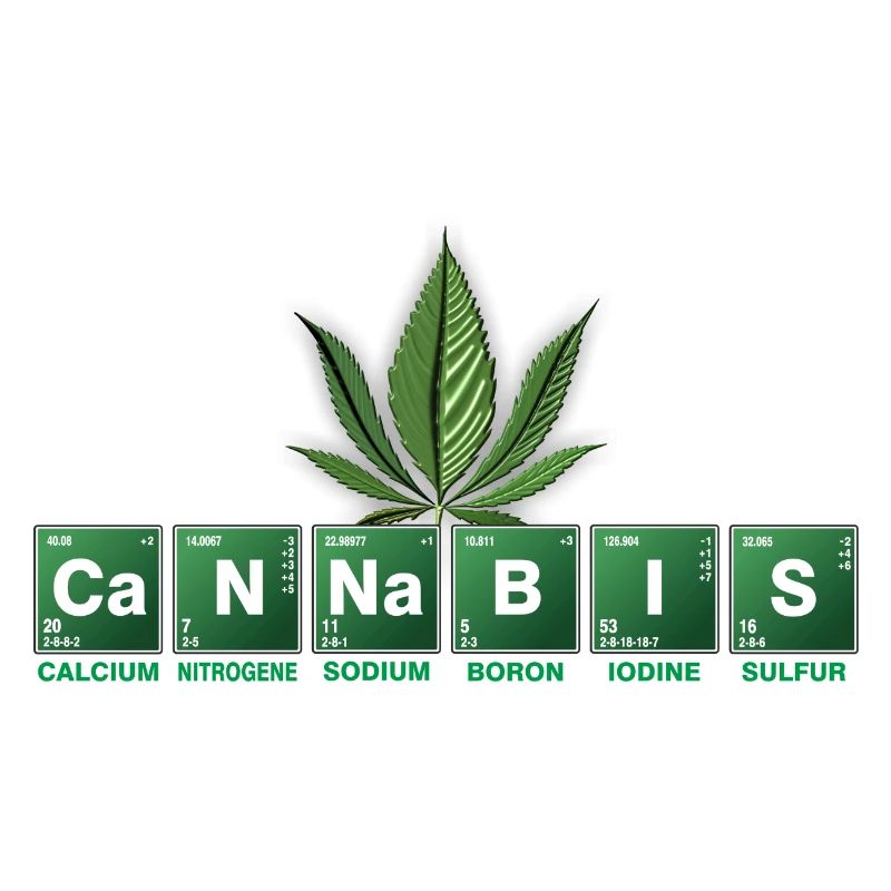 Cannabis