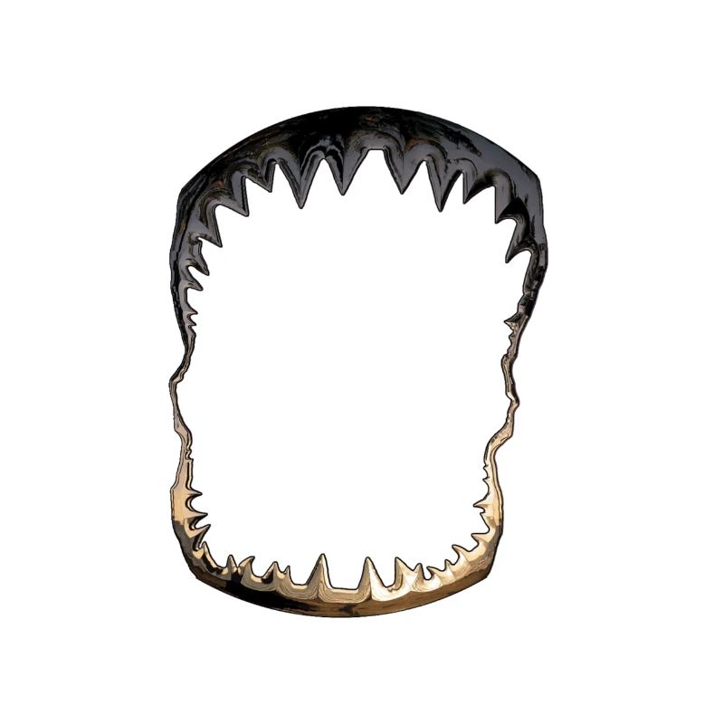Shark Black Or