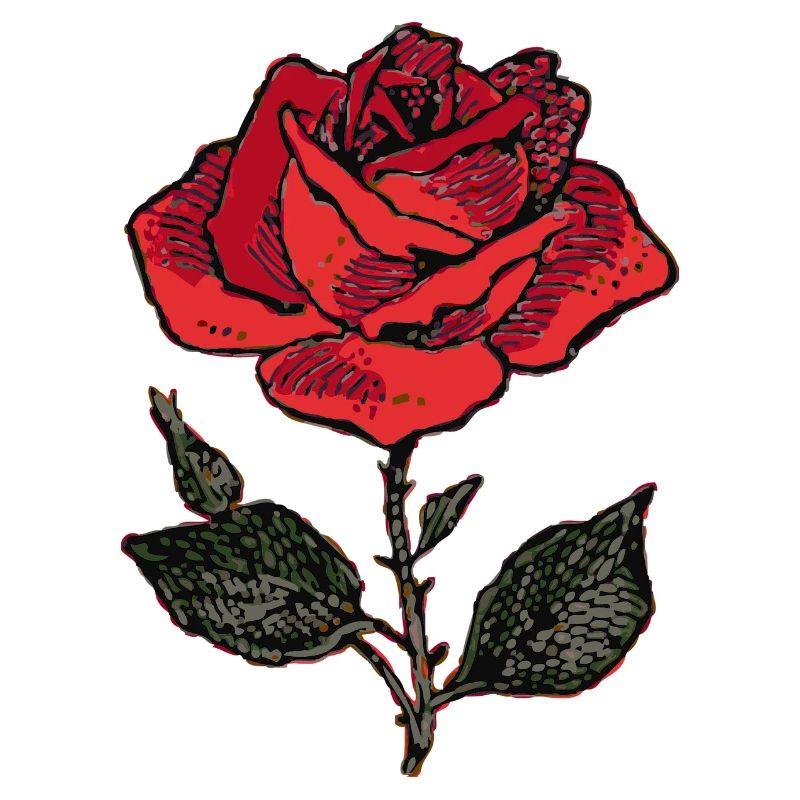 rose
