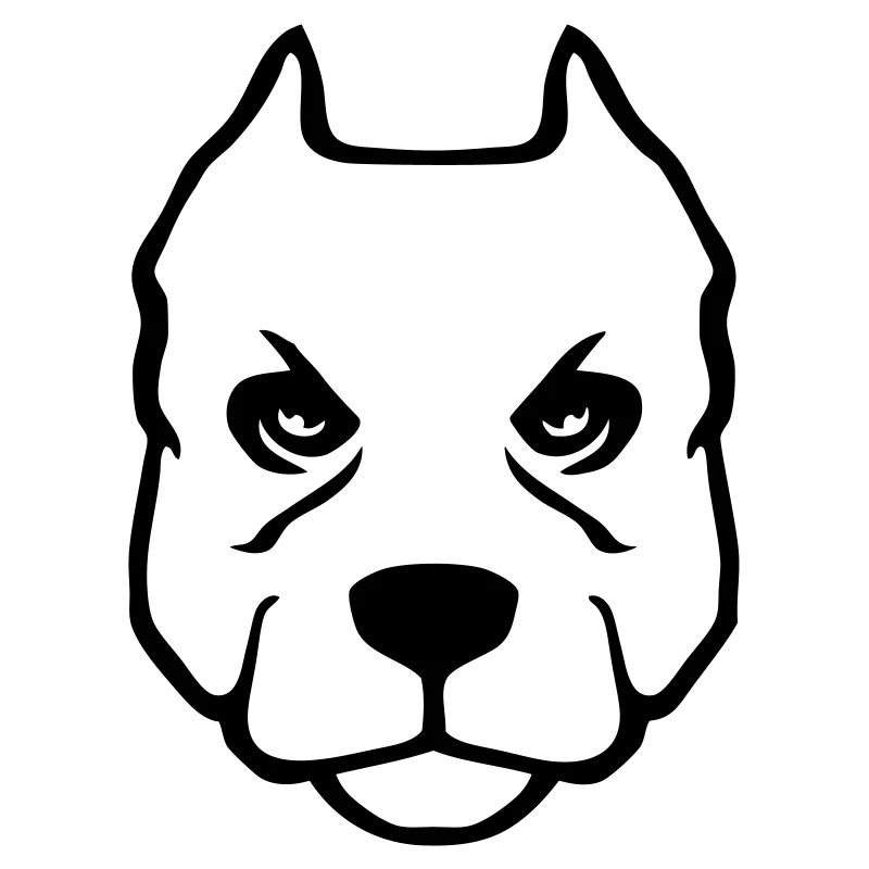 pitbull American Pit Bull Terrier Hundekopfzeichnu
