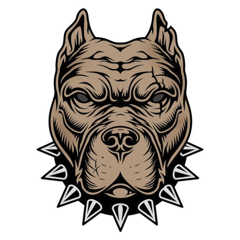 Aggressive dog