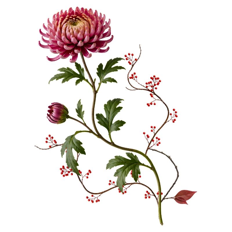 Chrysanthème avec baies dans le style zen