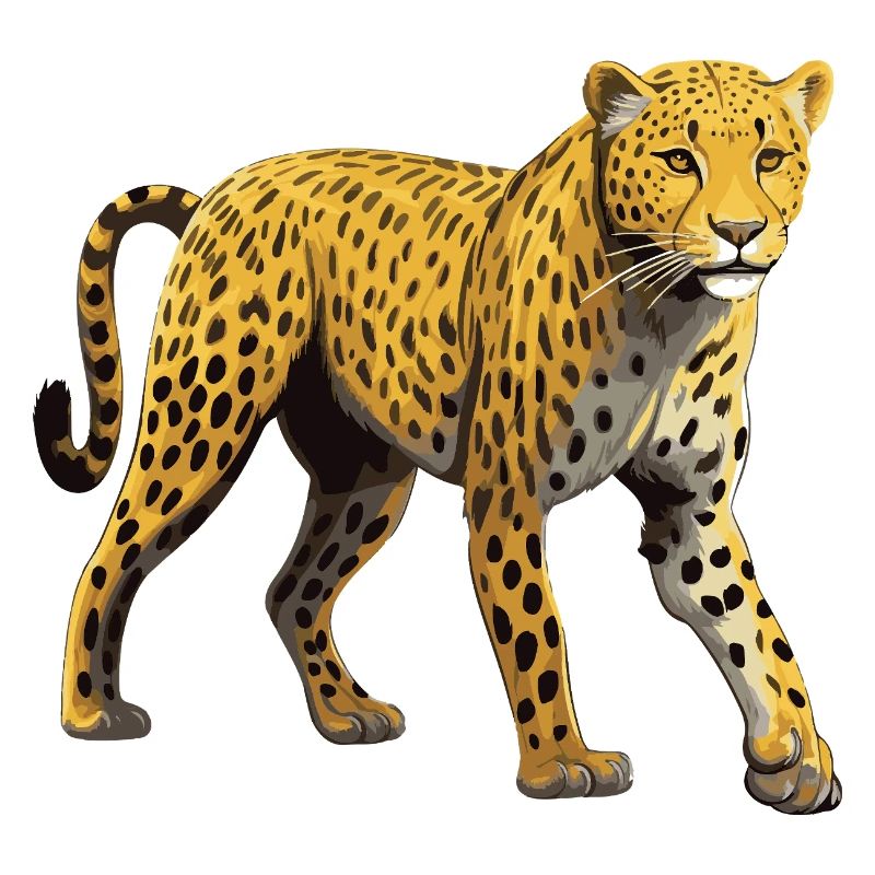 Guépard