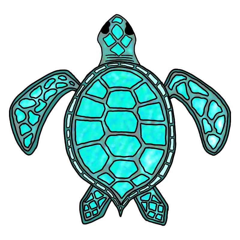 Tortue verte- turquoise