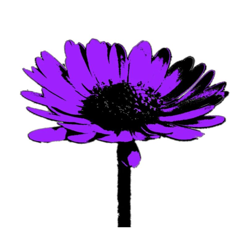 Blume