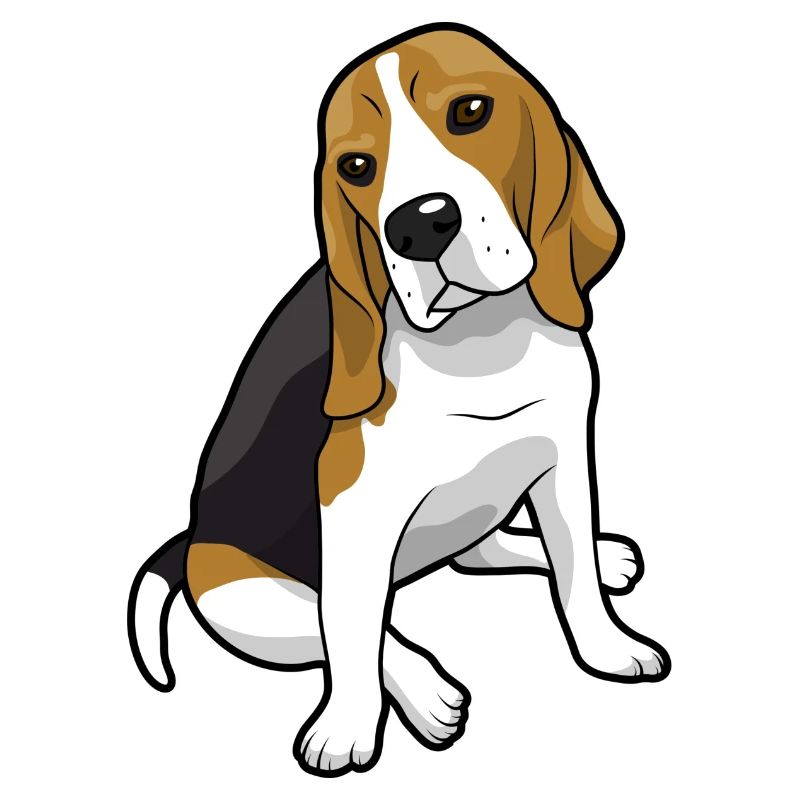 Beagle Dog