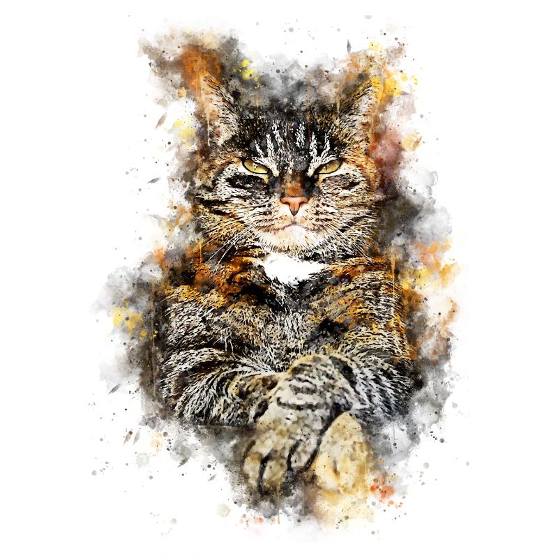 gxp chat chat comme un patron splatter aquarelle